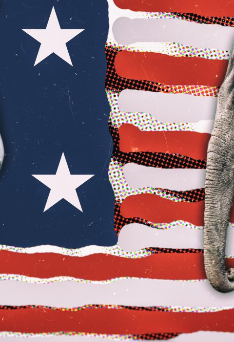 Why I am a Republican