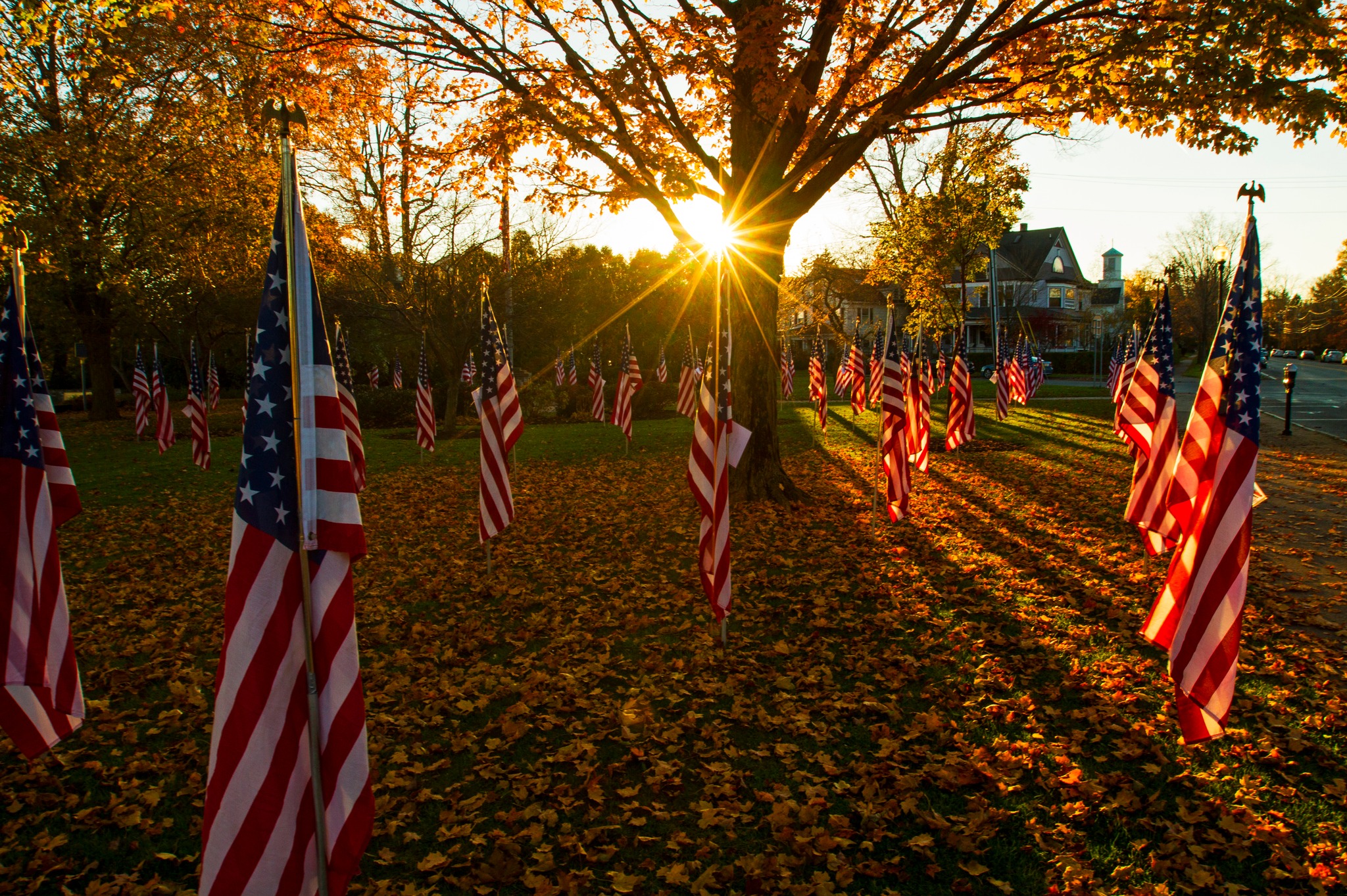 Ripon Forum Publishes 4th Annual Veterans Day Special Edition