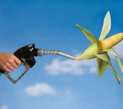 Time to Rethink Ethanol