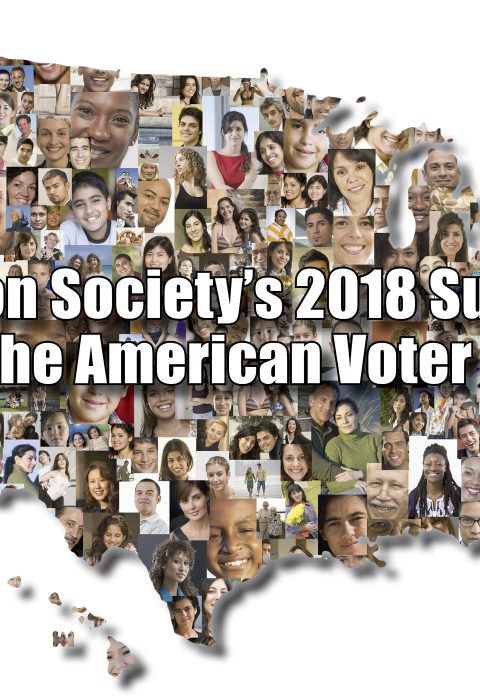 STATE OF THE ELECTORATE